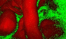 I enjoyed a rough face fuck with my partner in bad lighting