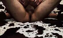 Amateur Couple Engages in Anal Assfucking