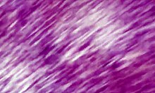 Amateur Anal Assfucking With Dildo Toys