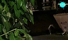 i watch cracky in her natural habitat, she's so sexy and horny