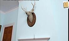 Being a DIK Chick Route 21 Is Wild