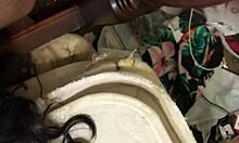 is this the great fucking you've been waiting for?