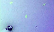 Ya No Aguantaba Las Ganas Y Le Cante Un Palo