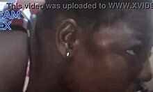 curvy babe performs freestyle blowjob on big cock