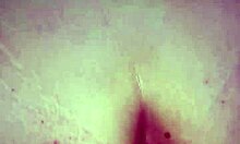 Blonde Latina Amateur Deepthroat And Anal