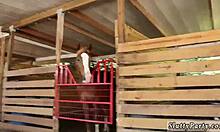 wild hardcore party farm girls gather for fun