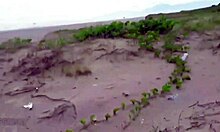 Loirinha Safada Engages In Public Sex On The Beach With Doggystyle, Blowjob, And Outdoor Adventures.