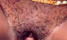 Squeezed My House Help's Pussy After Wife Left For Work