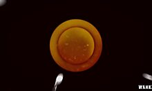 Keegan de 18 años llena de semen tras paja dura 😈