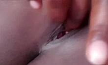 Learning English Language Basics