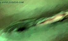 Learning English Language Basics