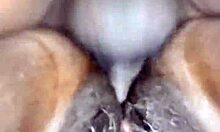 Fucking The Neighbor's Friend 3 Amateur Bbw Mature