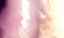 Homemade Latina Blowjob With Creampie