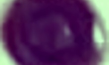 Amateur Teen Explores Group Activities