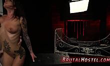 Mistress kicks slave excited youthful 18+ tourists felicity feline and