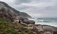 wild gangbang erupts during the photo shoot