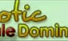 Hot Slutty Brunette Teaches Big Dick Handling