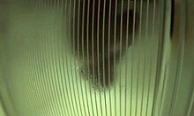 Guy Enjoys A Relaxing Shower In The Bathroom