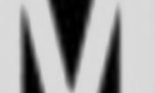 Romanian Star Experiments with Cucumber in Wide Opening