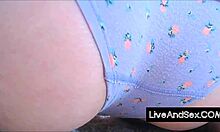 i experience my boyfriend as a submissive pet