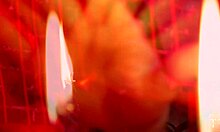 One Two Three Cunnilingus Demon Come, With Muscular Amateurs Licking Tight Pussy And Blowjob Orgasm.