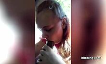 White Trash Slut Sucks My Black Cock