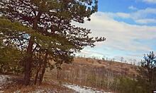 Cum all over pussy and pantyhose outdoors.