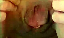 Short-haired pregnant brunette enjoys oral and doggy position.