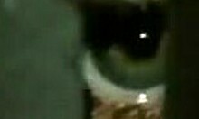 Tender yet horny deepthroat on big cock