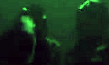 Bear meeting part 3 with tedbluebear and bearornot 🐻💪