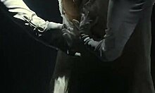 Bear meeting part 3 with tedbluebear and bearornot 🐻💪