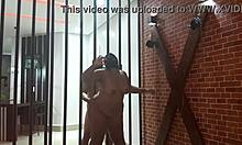 Fodo minha escrava pela grade da prisão, orgasm and assfucking