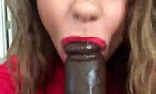 Crystina Rossi Demonstrates Blowjob Skills On Fake BBC