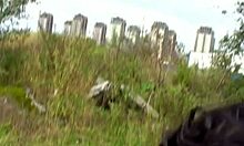 Redhead in black stockings picked up for furious outdoor blowjob and doggystyle.