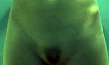 gorgeous chick flashes her pussy looking hot in changing room