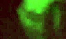 The brunette teen in black panties teases you with her striptease, slowly revealing her naked body.