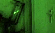 pregnant wife craving boyfriend's cock for blowjob and doggystyle fuck