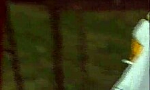 business deal with arab investors turns into mmf threesome parody