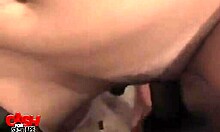 Oh, lusty brunette finds sex buddy on computer!