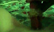 Brave teen brunette masturbates with pink vibrator in POV. Her shaved pussy glistens as she explores.