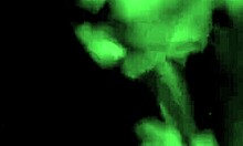 i'm watching this spicy ebony babe work a thick dick on camera