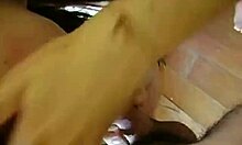 Fabulous Slut Feels Intense Pleasure Performing Amazing Oral On Her Partner's Cock