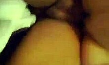 Girls in gf videos suck hard dicks!