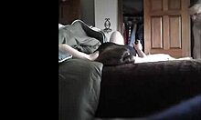 sweethearts wild fascination with pecker