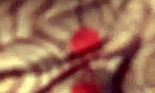 Lezbo Kitchen Fun With Two Hot Amateur Gals