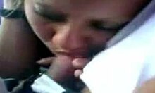 Cute Girlfriend's Oral Videos in the Car