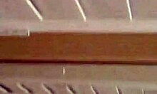 Tramp With Huge Nipples Loves Playing With Her Camera