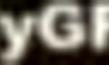 Sexy Babe Licks Cock