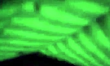 Skilled brunette amateur performs oral scene