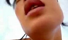 Oriental gal sucking lucky guy's cock?